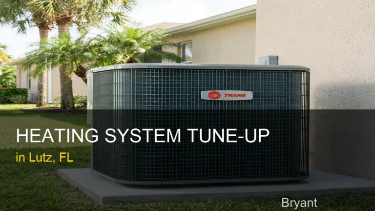 Heating System Tune-Up in Lutz - Bryant