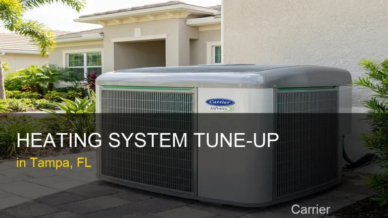 Heating System Tune-Up in Tampa - Carrier